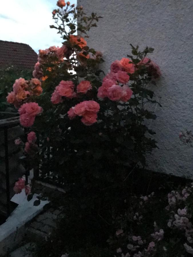 Happurg Ferienwohnung Mit Terrasse Bei Nuernberg מראה חיצוני תמונה